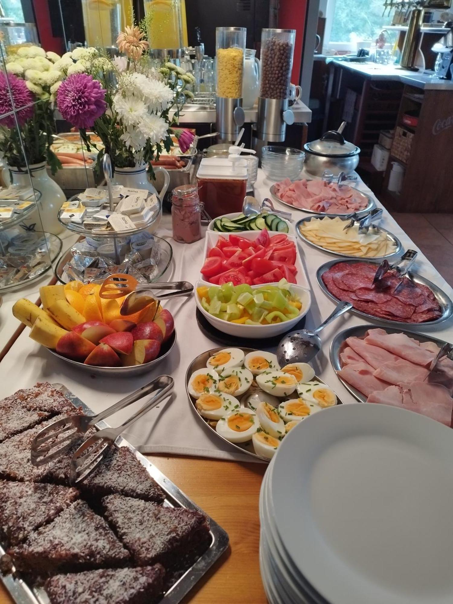 Penzion U Zpevaku Nove Hute Εξωτερικό φωτογραφία